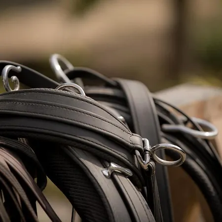 Apartamento De Dinkelhoeve