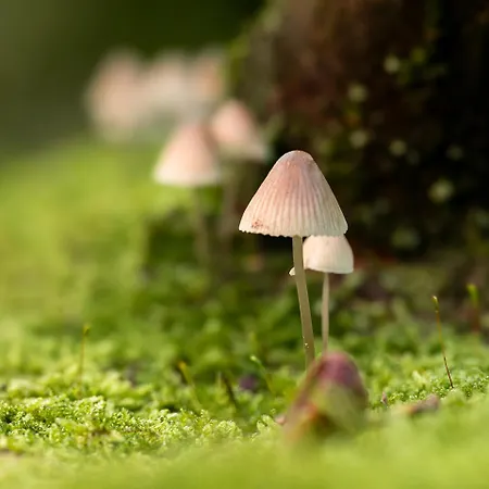 Apartamento De Dinkelhoeve *