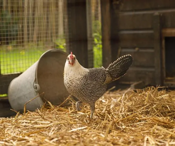 De Dinkelhoeve Apartamento Heemstede